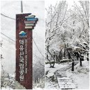 2024 무주 반디랜드 할인팁 입장료 주차장 첫눈 라제통문 사진찍기좋은곳 당일치기 여행