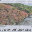 오매
