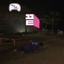 [2025 검정치마 콘서트] 눈물의 5/9 후기