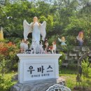 가을이 | 청주반려견장례식장 우바스에서 우리 가을이를 따뜻하게 보낸 후기