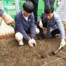 흥선농장 이미지