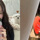 소녀시대 카카오 검색결과