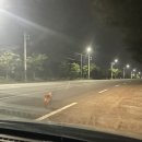 만조PC방 이미지