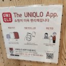 쎄일쎄일타운 | 유니클로감제12.5~8 <4일간> 김포 유니클로 핫플, 김포장기점 쇼핑 리얼후기 접근성,주차 굿굿