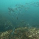 남해-309 이미지