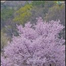 금산-64 이미지