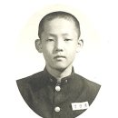 양광석 Daum카페