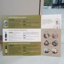 폴인럽 애견&고양이 미용 돌봄&호텔 | 마포애견미용 잘 해주시는 폴인럽 애견&amp;고양이 미용 돌봄&amp;호텔 이용해봤어요