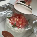 류빈 | 부산 홀케이크 추천:온천천 칙투칙 망고 케이크/ 남산동,범어사 류빈 생화장식케이크