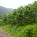 오삼농장 이미지