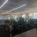 에프원 피트니스 헬스&PT 화명점 네이버블로그