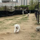 잔잔하지만 요란한 일상