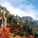 금강산 - 고령군 주산길 7 | 금강산