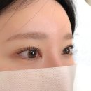 대박전 | [판교 반하눈] 전 후 차이 대박! 바짝 올라가는 속눈썹 펌 후기