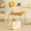 주식회사 코리아펫 이미지