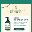 순수예감