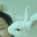 35, 10월 10일 ~ 10월 16일