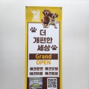 개편한 애견미용 | 대구 수성구 범물동 상동 범어동 애견미용 애견호텔 추천
