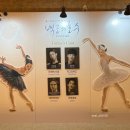 수요춤전-박숙자의 춤 | 🩰유니버설발레단 <백조의 호수> 8월 20일 이유림, 임선우, 드미트리 디아츠코프, 김동우