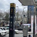 도화소어린이공원화장실 | 서울 마포역 근처 벚꽃길 벚꽃스팟 도화소어린이공원