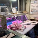 아우네 우리 돼지 이미지