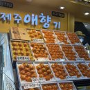 제주애향기