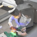 세상에하나뿐인치과의원 네이버블로그