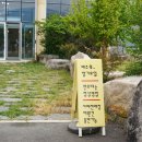 드로핀