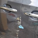 전진공업사 | 카니발 사고 수리 후기 비용 금액