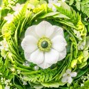 (광고 없음) 긴장을 풀어주는 평화로운 피아노 음악 🌿 신경계 균형을 위한 차분한 음악 이미지