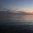 달빛조개 이미지