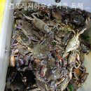 마검포레져하우스가족독채수영장 이미지