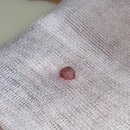 스마일플러스동물병원 이미지