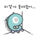 지피지기영수학원
