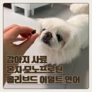강아지 사료 후기 : 몬지 모노프로틴(LID) 올브리드 어덜트 연어 내돈내산