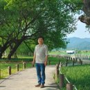 성주 경산리 성밖숲 이미지