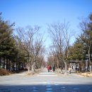 도심속의 평화 이미지