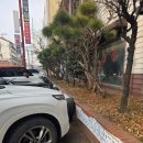 차이향 | ​[내돈내산] 청주 복대동 차이향 점심 방문! 삼선짜장 + 삼선 백짬뽕 조합 솔직후기(메뉴판)