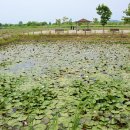 성당포구 화장실 이미지