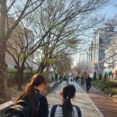 호계1동 주민센터 앞 | 관악부영아파트상가 미술학원 / 블루밍그림터*호계1동 주민자치센터 연필스케치 2분기 개강! 1주차 수업