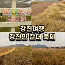 강진-22 | 강진만 춤추는 갈대 축제 미리 만난 강진 갈대밭 가을 힐링!