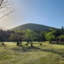 붉은오름자연휴양림4 이미지