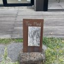 제주 조천 곶자왈 원데이 클래스 올티스 티마인드 내돈내산 추천 후기