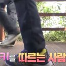 죽도농장 이미지