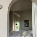 서유의섬 이미지