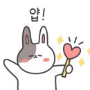 오 마이 캣 이미지