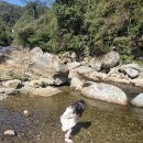 산소리물소리 | 경남 핀란드사우나 찜질 하동 펜션 아름다운산골 바베큐