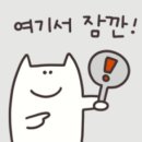 김동물병원 이미지