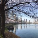 스위트원룸텔 이미지