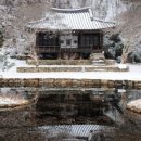 문스테이 이미지